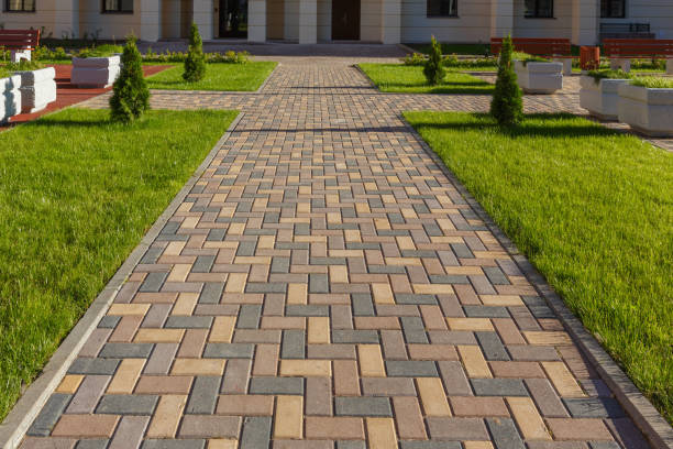 Best Driveway Repair Near Me  in Tecumseh, MI